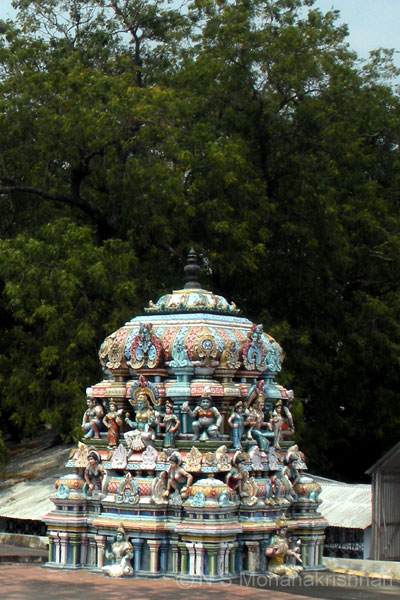 murugur-sitrambalanadar-3