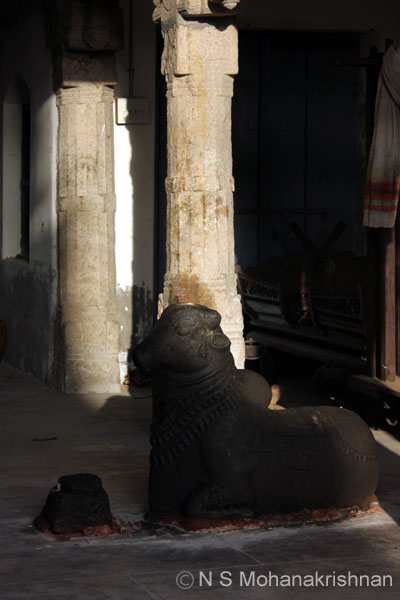 panchanad-trichy-5