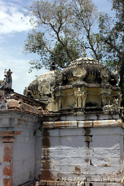 pasupatheswara-trich-4