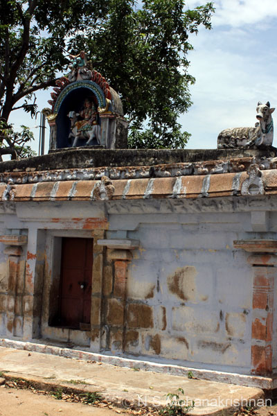 pasupatheswara-trich-5