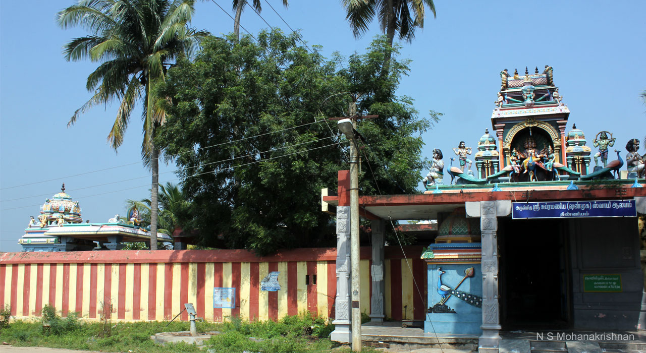 thinniyam-muruga-1