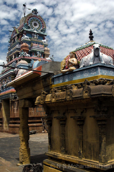 tirueengoimalai-2