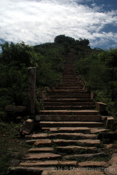 tirueengoimalai-3