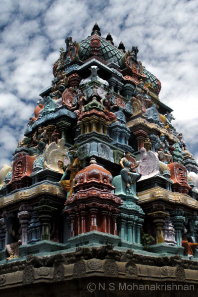 tirueengoimalai-6
