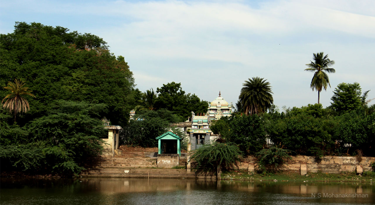 cholees-sengali-1
