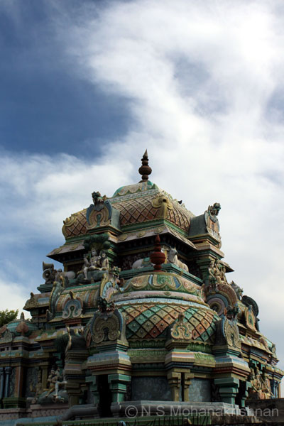 cholees-sengali-2