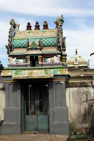 cholees-sengali-5