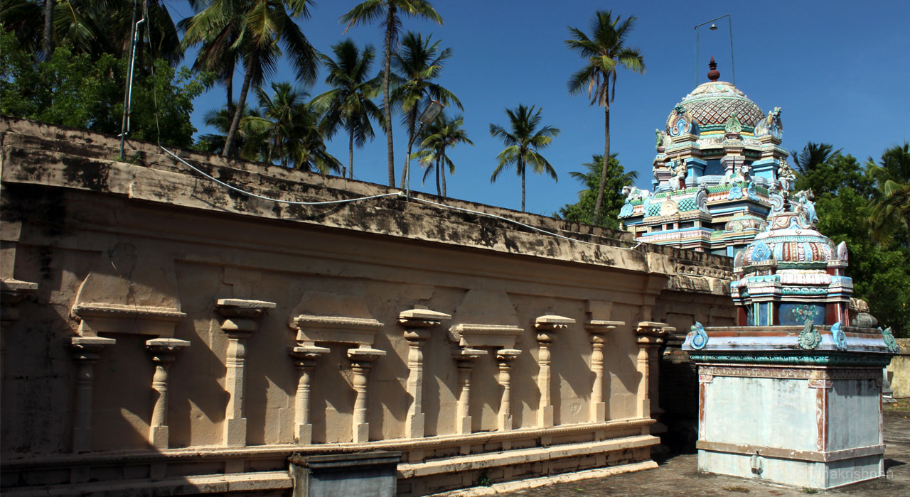 jambu-koonthalur-1