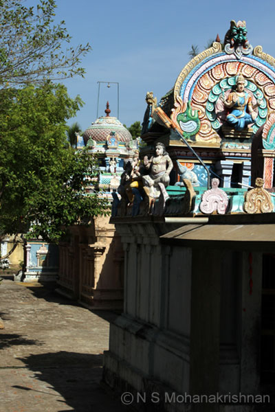 jambu-koonthalur-4