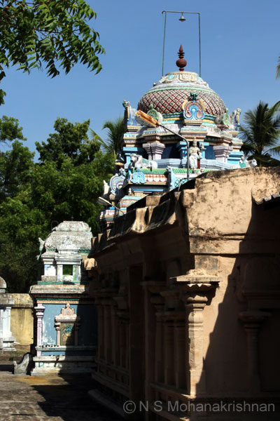 jambu-koonthalur-5