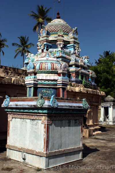 jambu-koonthalur-6