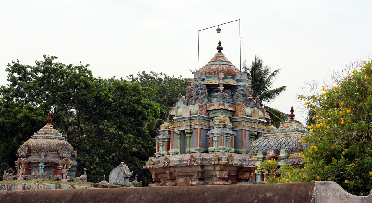 jambu-perambur-1
