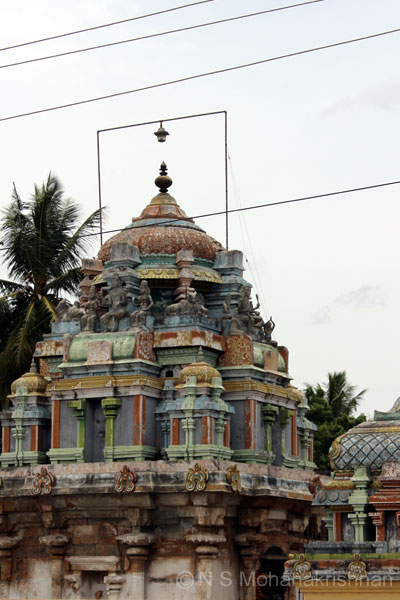 jambu-perambur-2