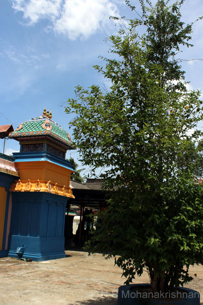 manu-maruthavancheri-1