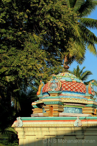 needamangalam-kv-6