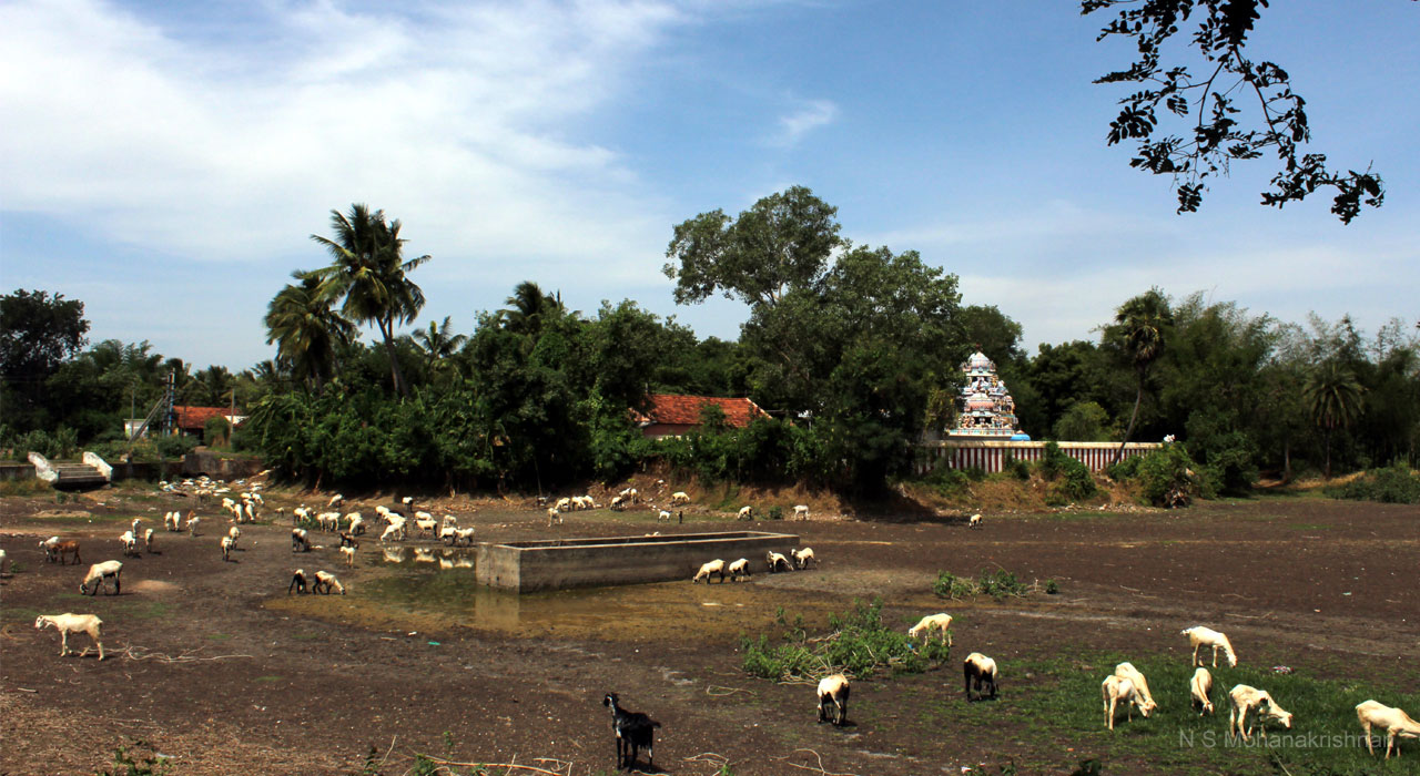 nirudee-pulavarnatham-1