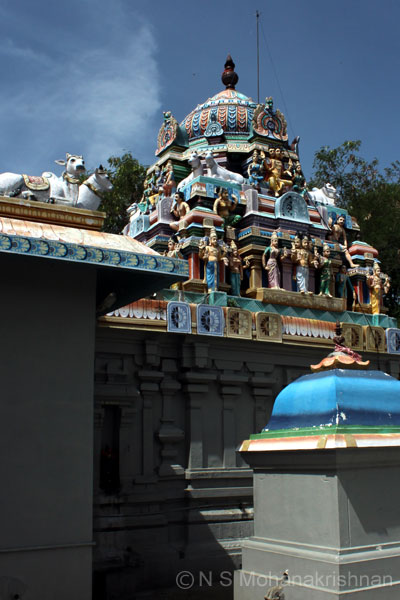 nirudee-pulavarnatham-4
