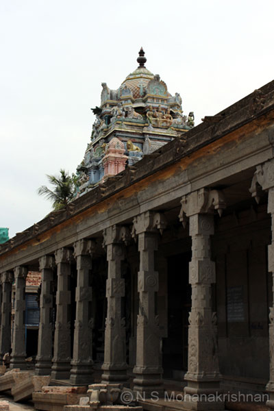 pamani-3