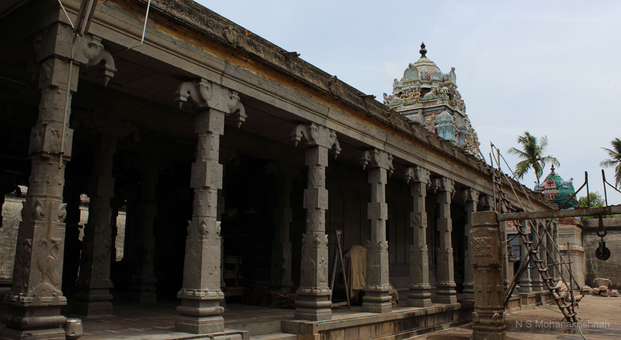 pamani-6