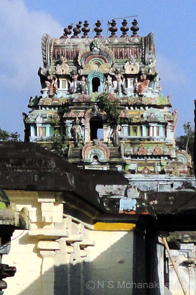 paravaitoovayar-tiruvarur-2