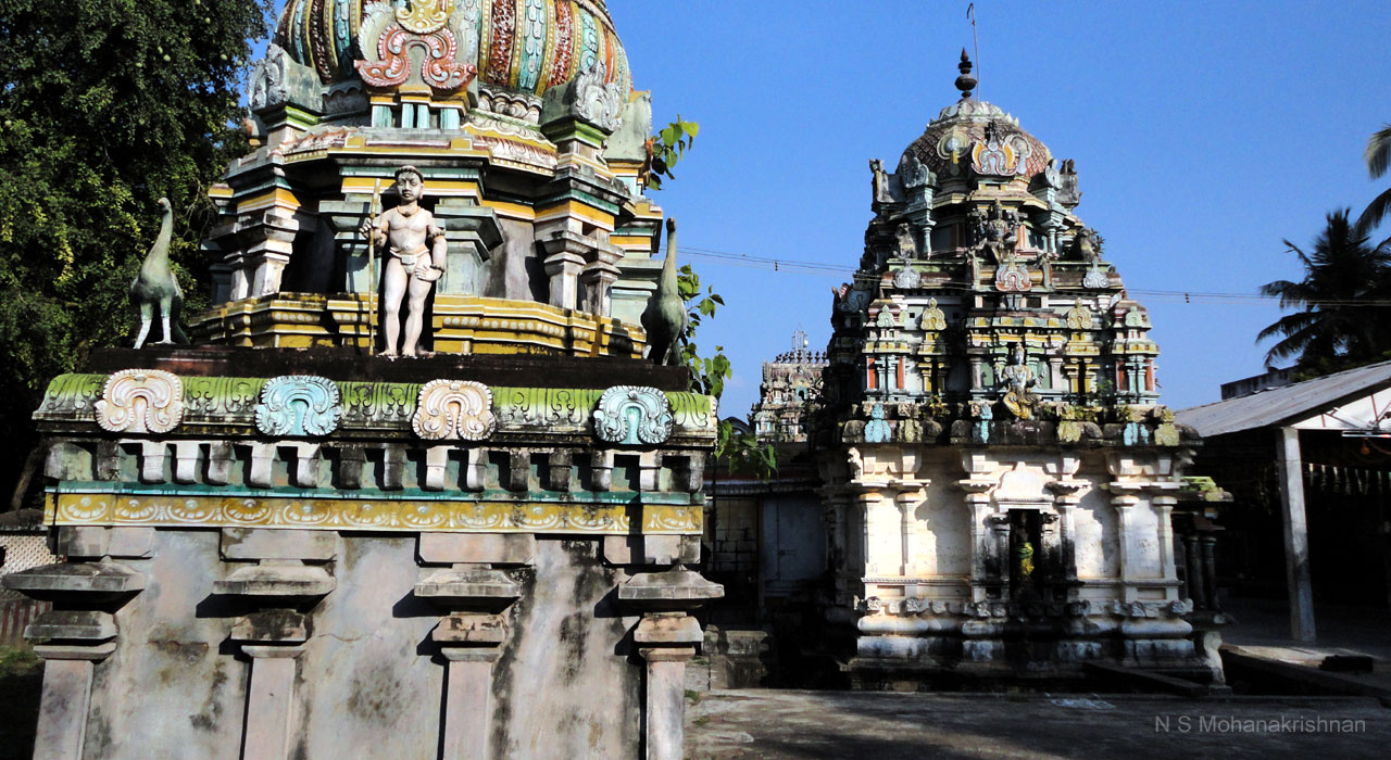paravaitoovayar-tiruvarur-5