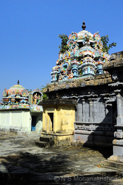 sirukudi-2