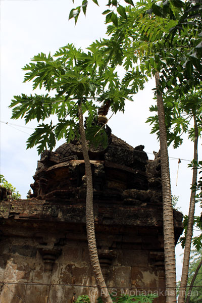 therkukovil-4