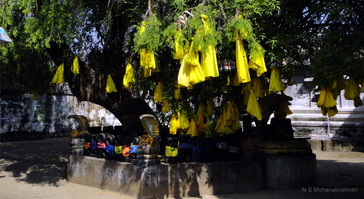 tirupamburam-1