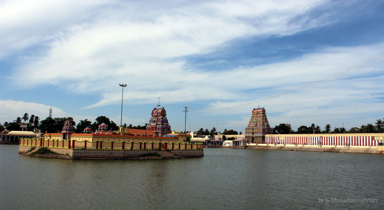 tiruvarur-thyaga1