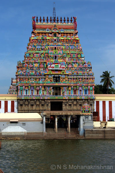 tiruvarur-thyagarajar-5