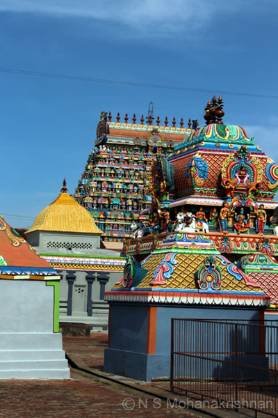 tiruvarur-thyagarajar-6