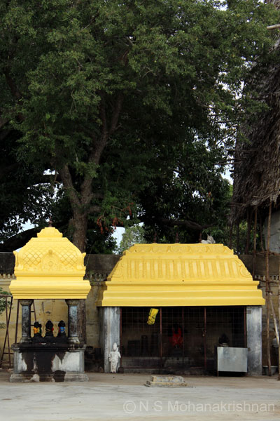 annamalayar-mannai-3