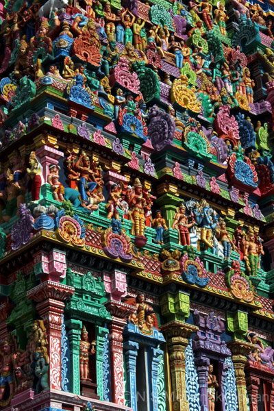aroor-aranery-2