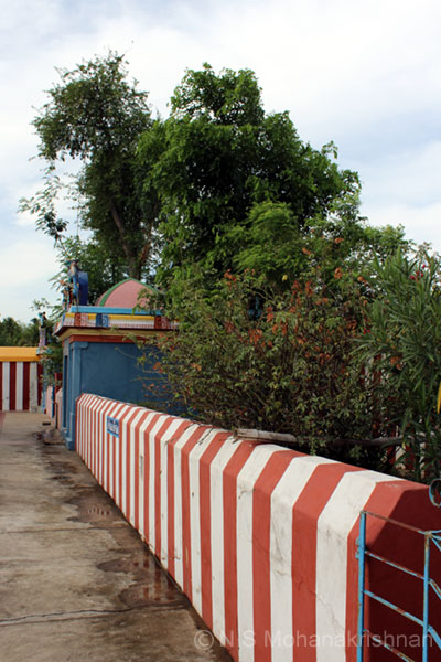 dhundubees-sengalipuram-4