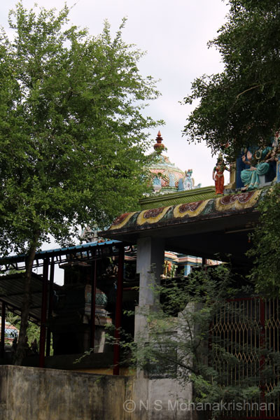 meenakshi-simizhi-3