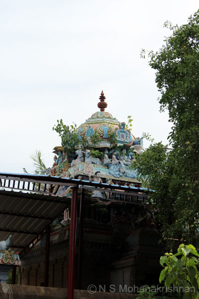 meenakshi-simizhi-5