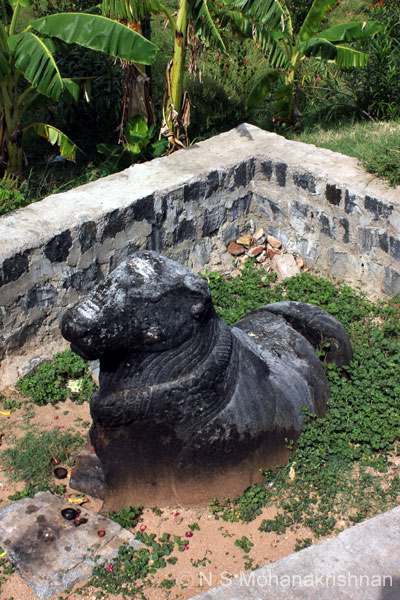 amani-gopurapatti-9