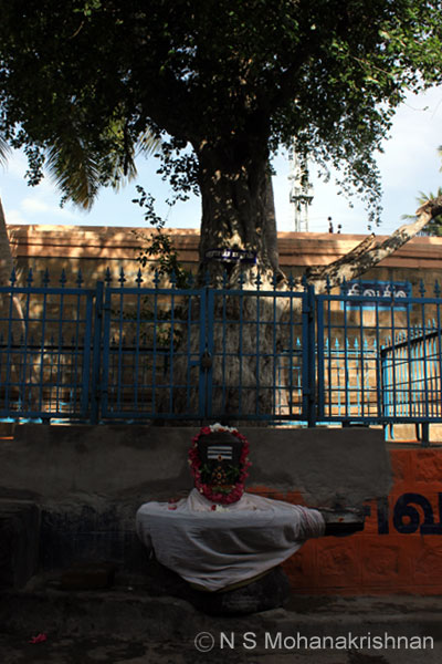 thiruparaithurai-2