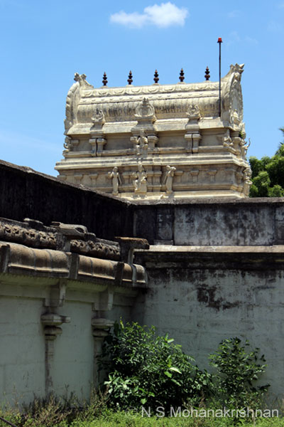 thittakudi-perumal-2
