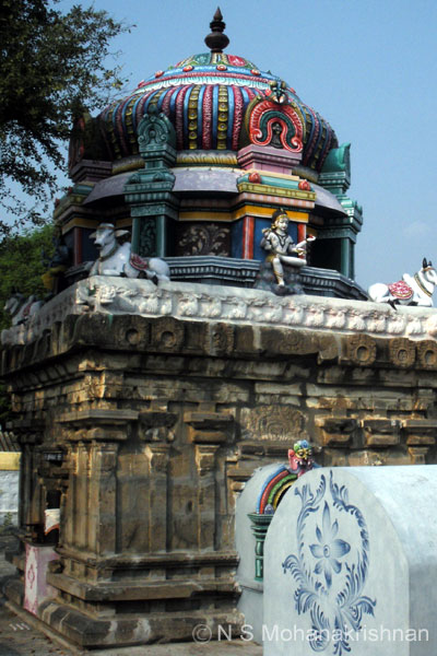 nochiyam-bragadeeswarar-2