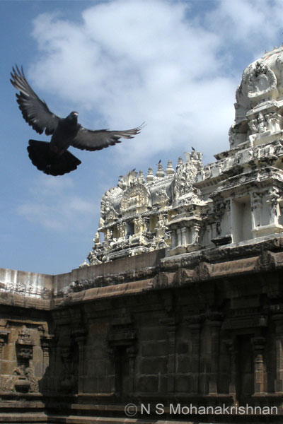 ashtabujakaram-1