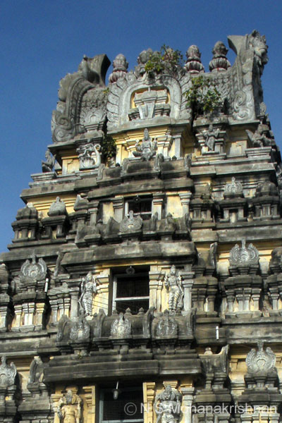 pandavathooth04