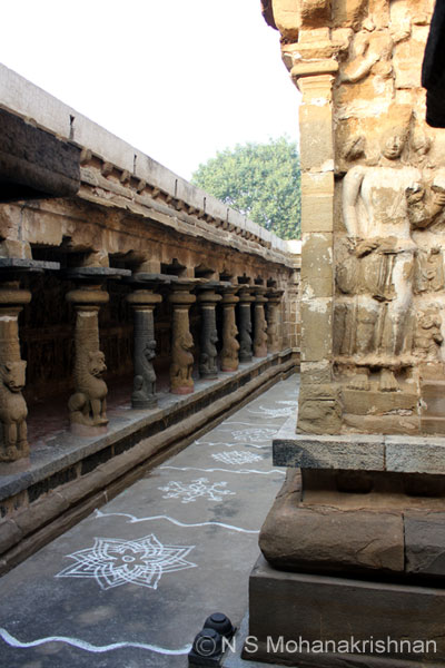 prmsr-vinnagar-5