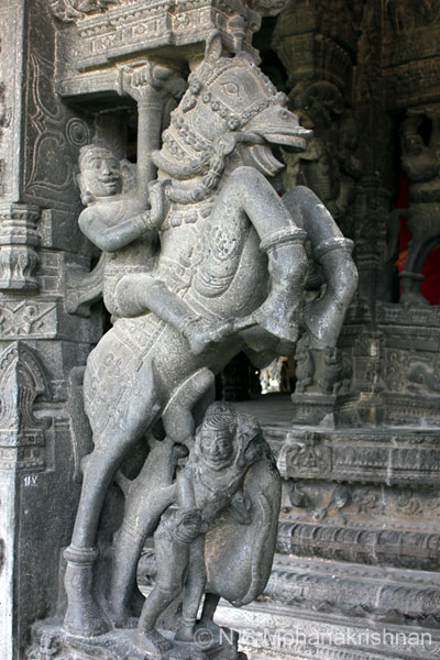 varadarajaperumal-10