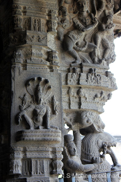 varadarajaperumal-11