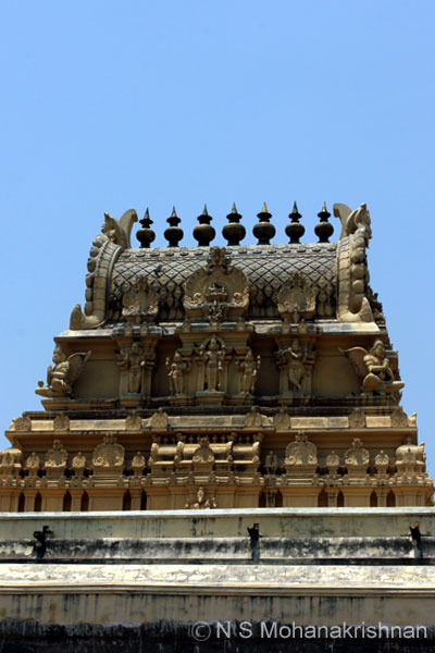 varadarajaperumal-16