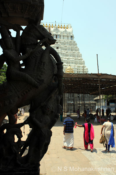 varadarajaperumal-18