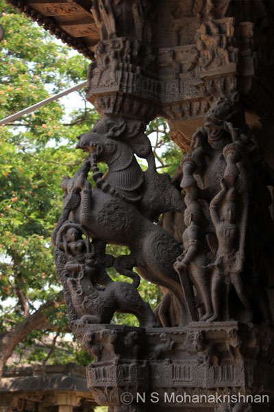 varadarajaperumal-2