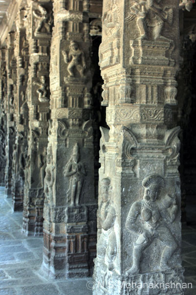 varadarajaperumal-7
