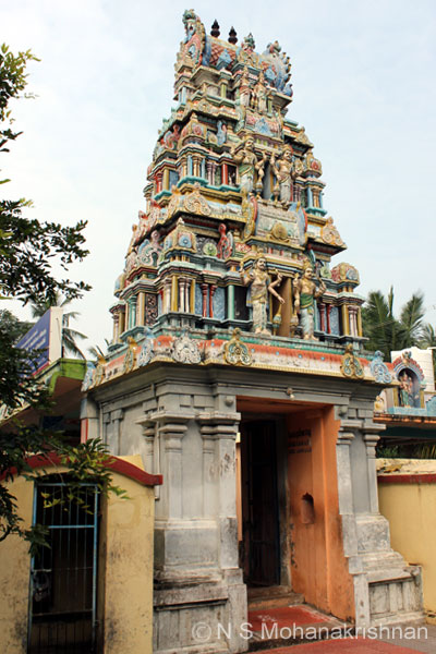 agastheeswar-karuvalar6